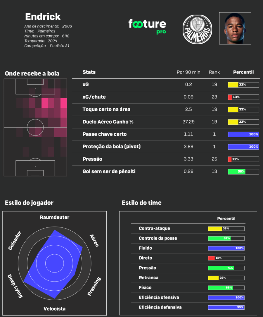 Guia do Brasileirão Palmeiras Footure Football Company