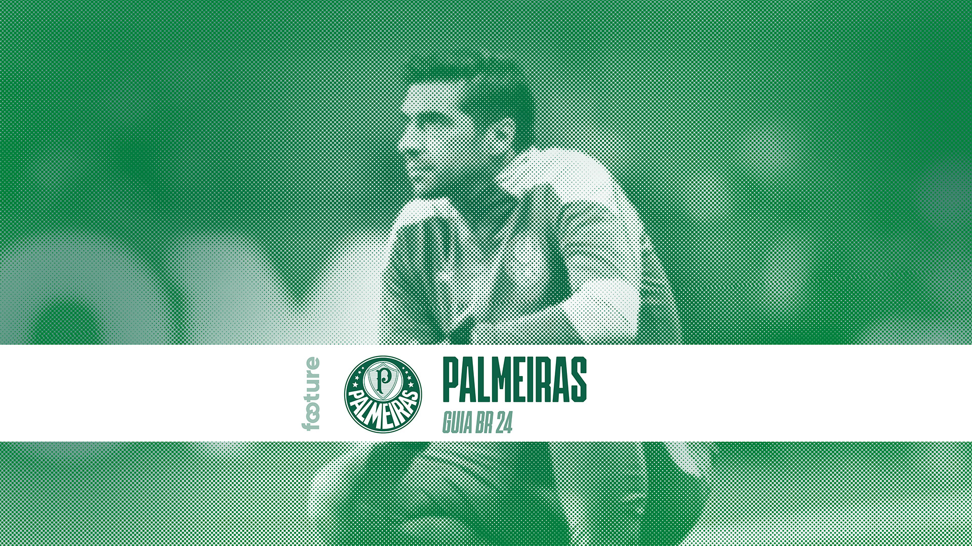 Guia do Brasileirão: Palmeiras